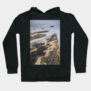 Seacliff & The Bass #4 Hoodie